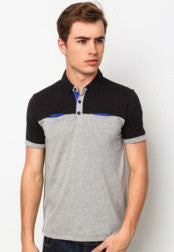 Men Color Block Polo